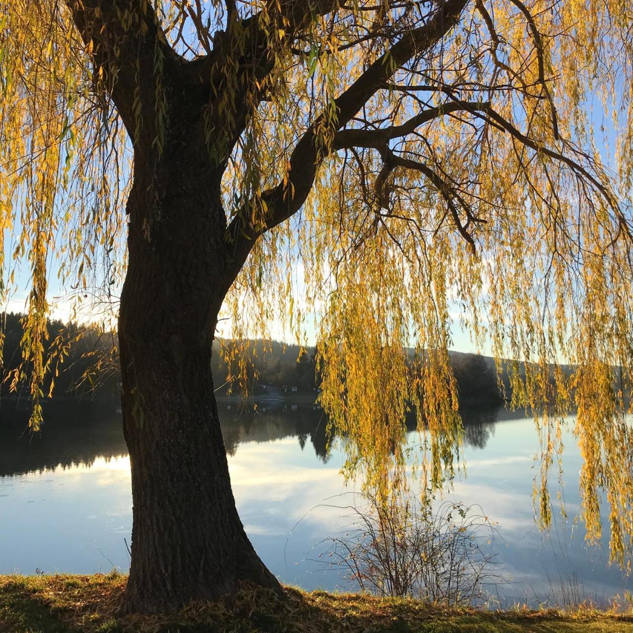 Apartmany Lipno - Frymburk Buitenkant foto